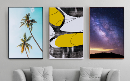 Framed Canvas Prints